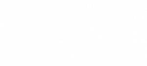 visionar